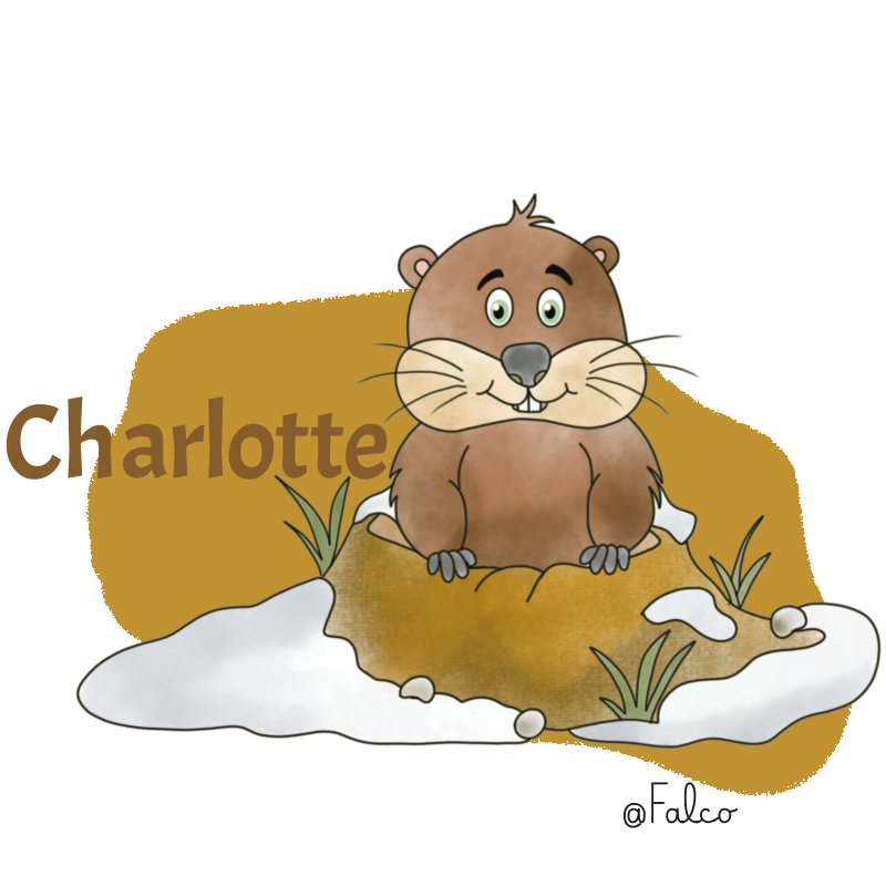 Charlotte la marmotte qui adore dormir dans sa tanière tout l'hiver. 