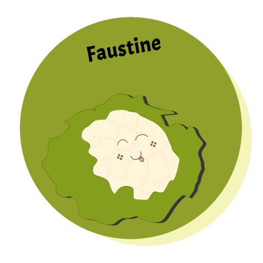 Faustine l’adorable choux-fleurs qui ne manque jamais de venir en aide à ses amis les légumes. D’ailleurs, les triplés la réclame pour les aidés à préparer une bonne soupe…