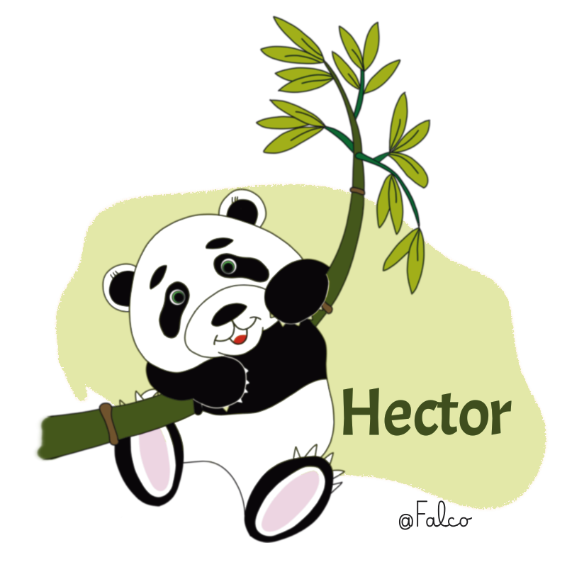 Hector le panda qui passe sa journée à manger des pouces de bambou.